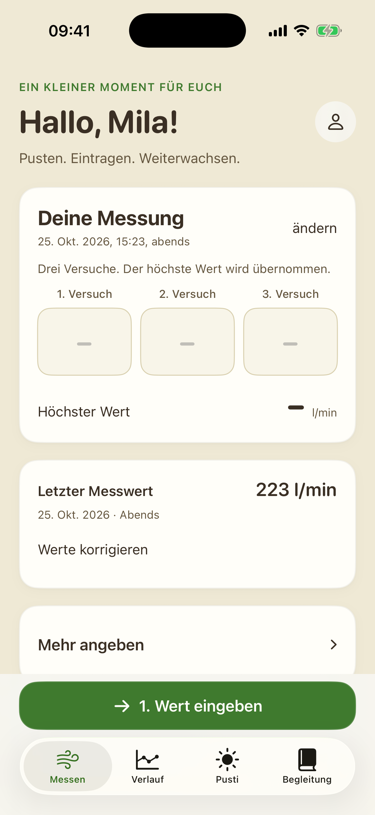 Messen-Ansicht mit drei Eingabefeldern und dem letzten Peakflow-Wert